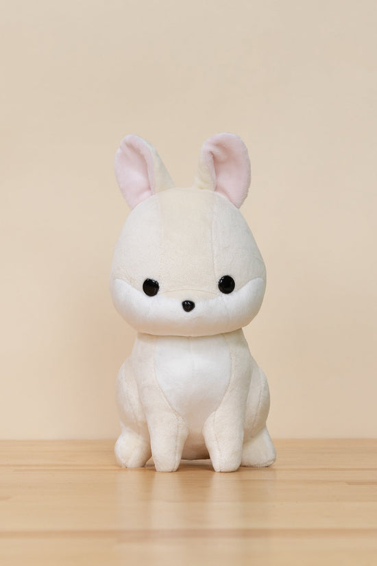 Bunni the Dwarf White Rabbit