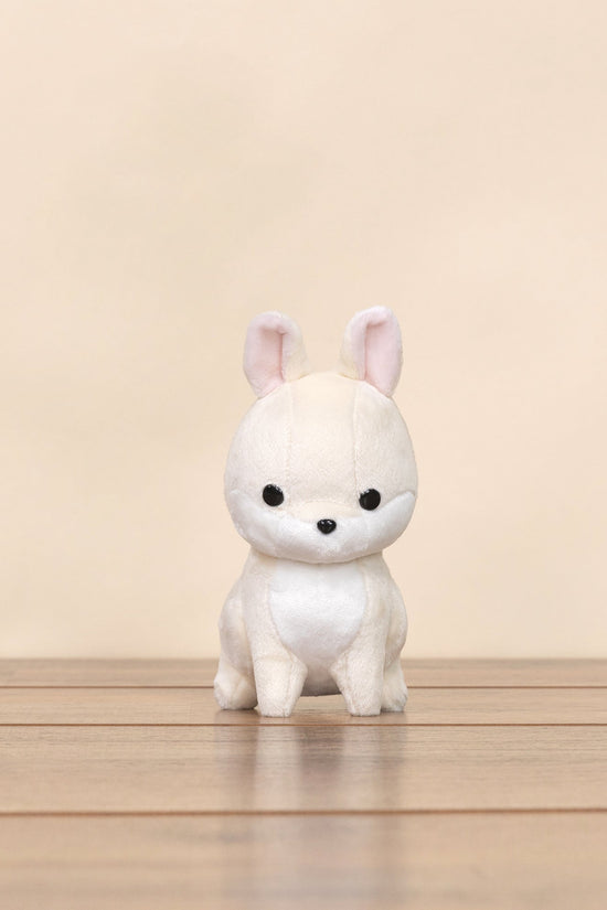 Mini Bunni the Dwarf Rabbit