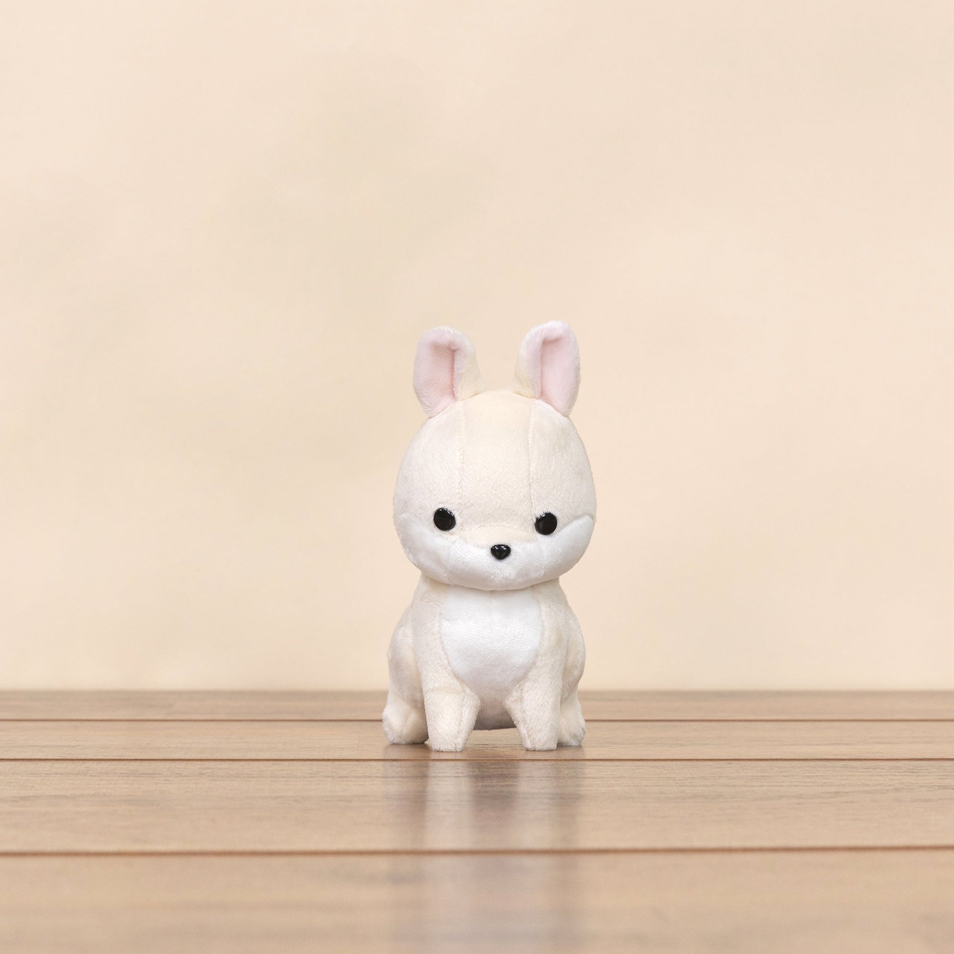 Mini Bunni the Dwarf Rabbit