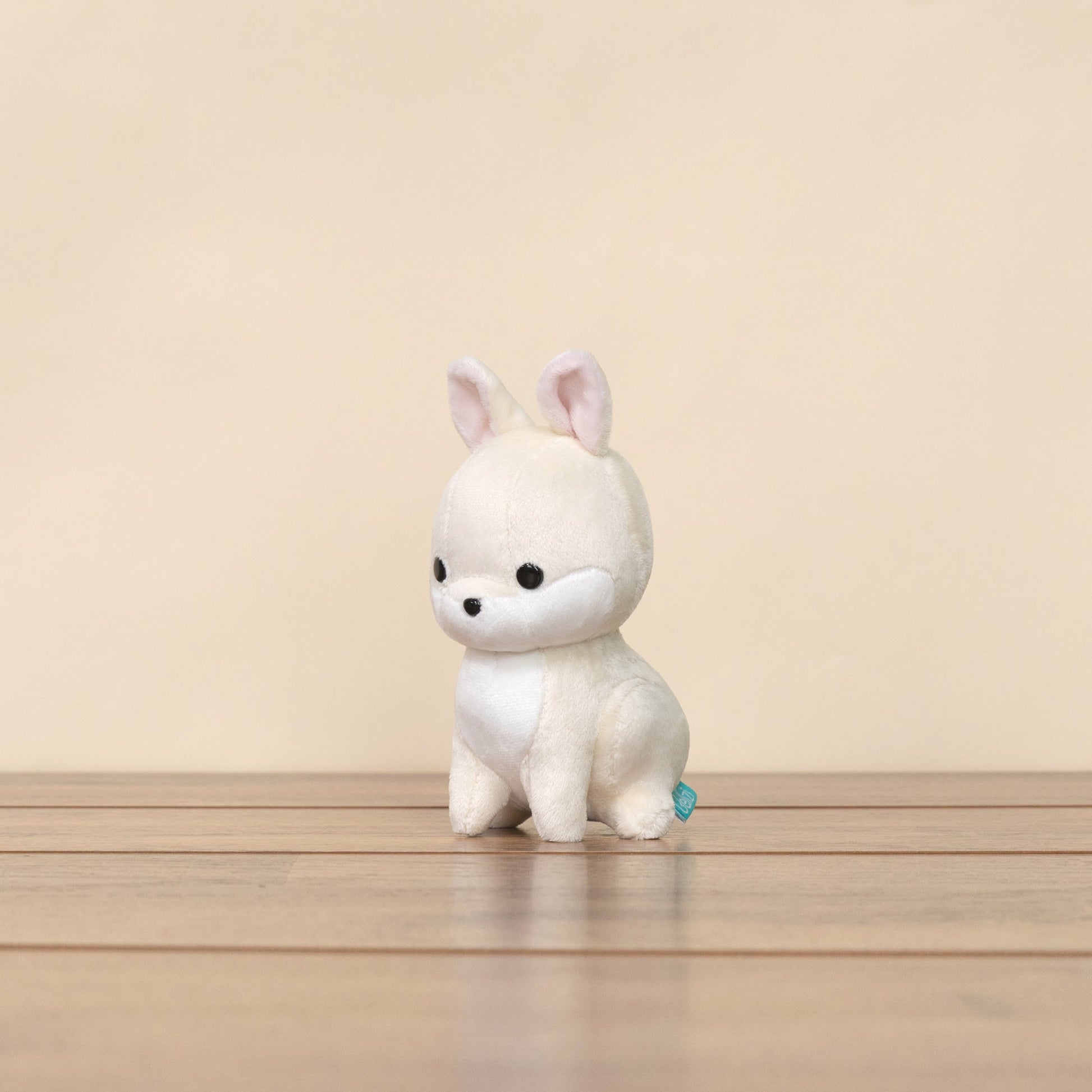 Mini Bunni the Dwarf Rabbit