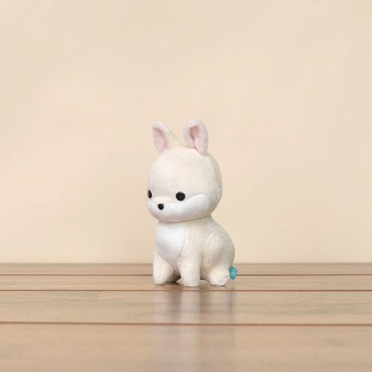 Mini Bunni the Dwarf Rabbit