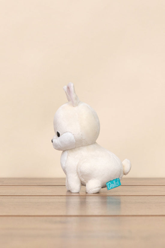 Mini Bunni the Dwarf Rabbit