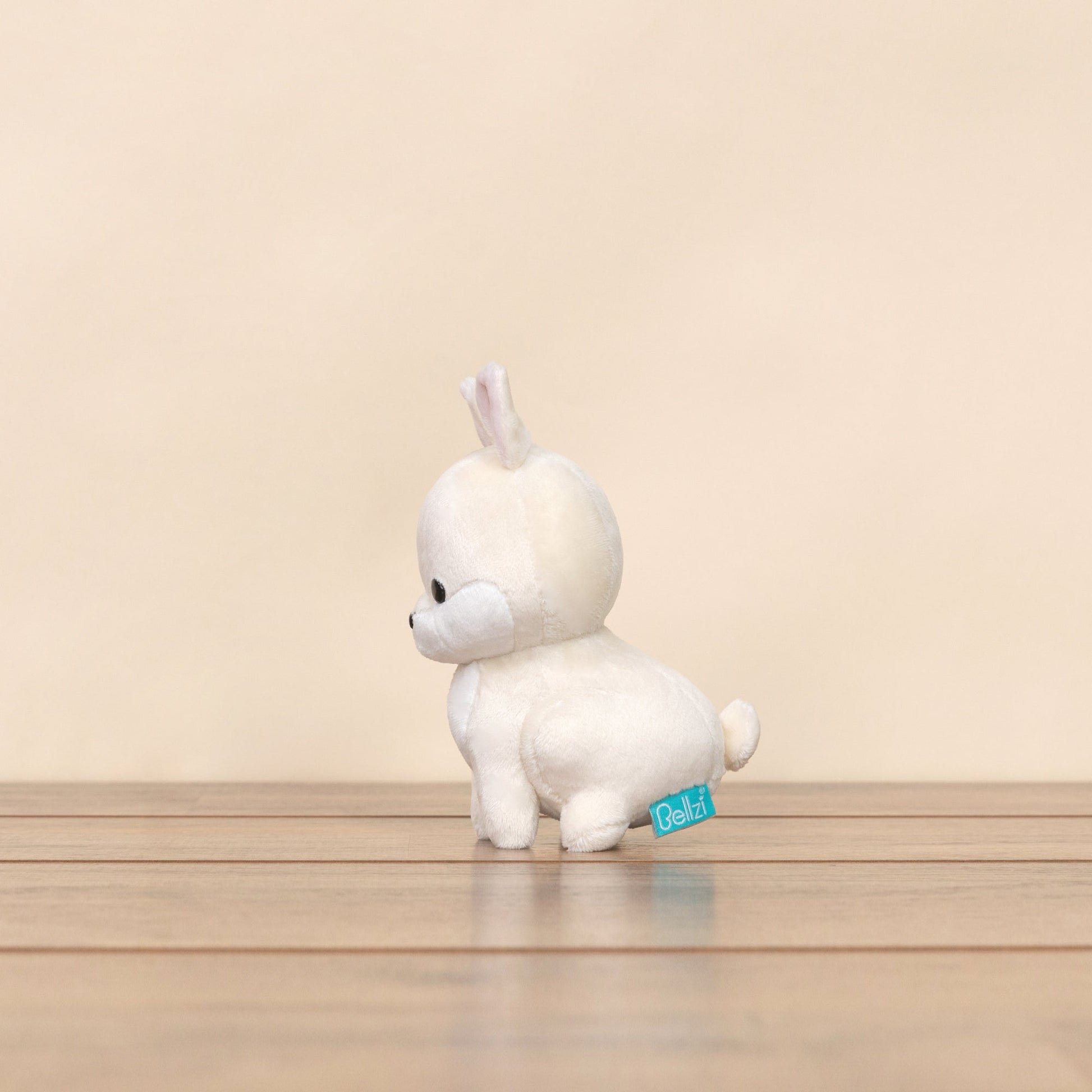 Mini Bunni the Dwarf Rabbit