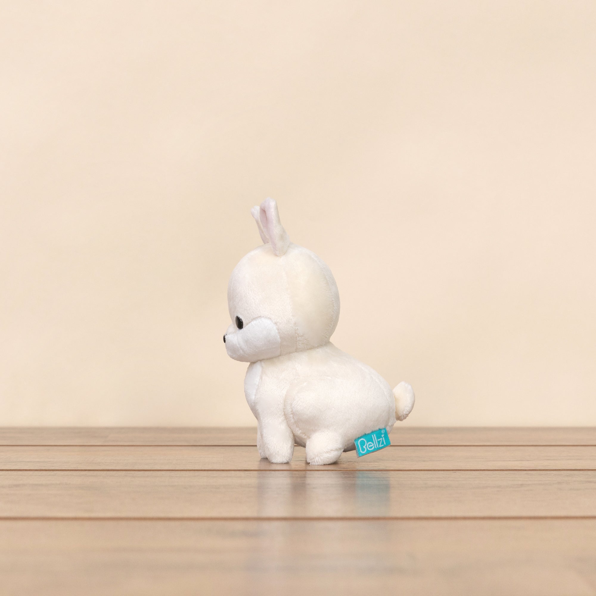 Mini Bunni the Dwarf Rabbit