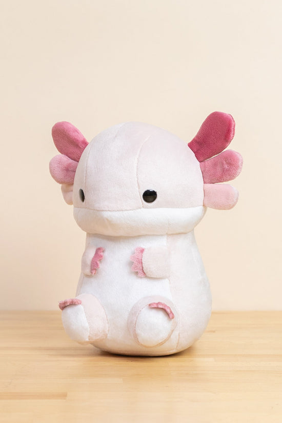 Lotti the Axolotl