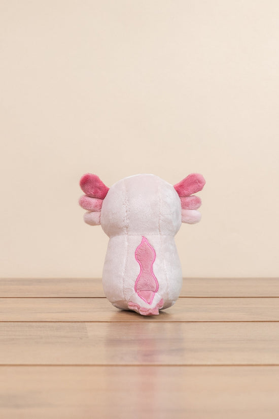 Mini Lotti the Axolotl