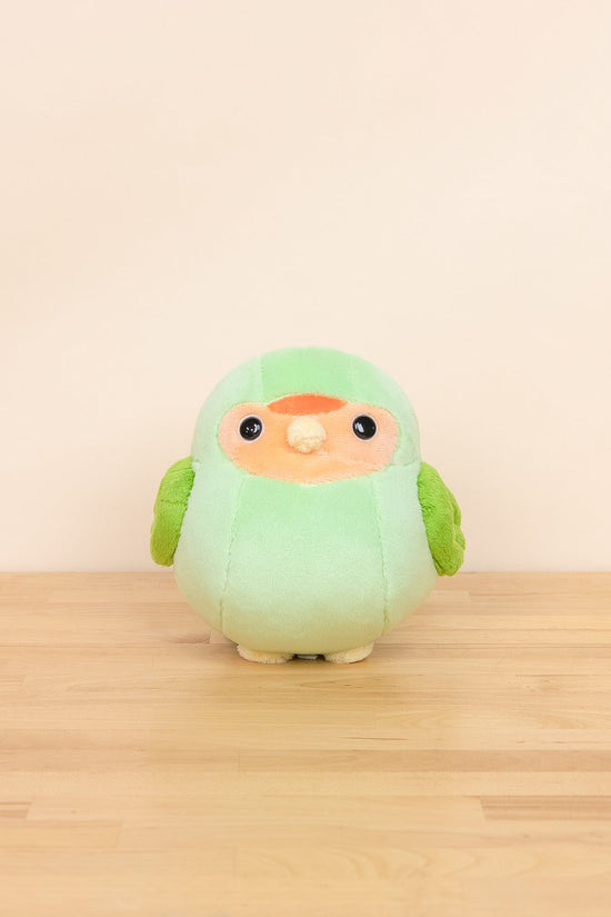 Mini Lovi the Green Lovebird