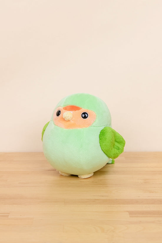 Mini Lovi the Green Lovebird