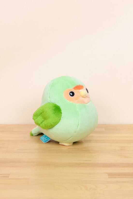 Mini Lovi the Green Lovebird