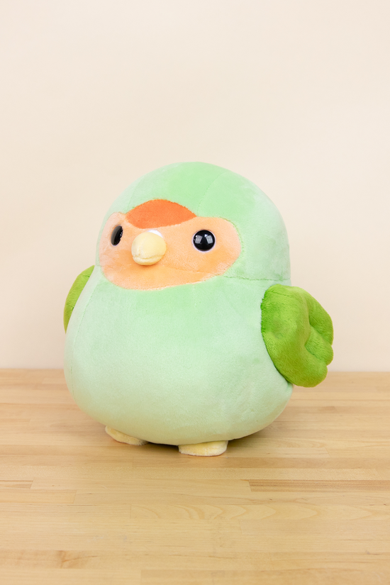 Lovi the Green Lovebird