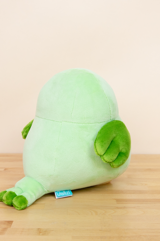 Lovi the Green Lovebird