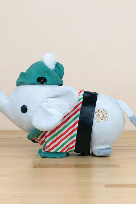 Phanti with Elf Outfit