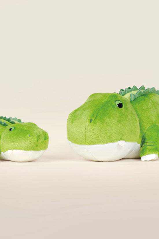 Alli the Alligator
