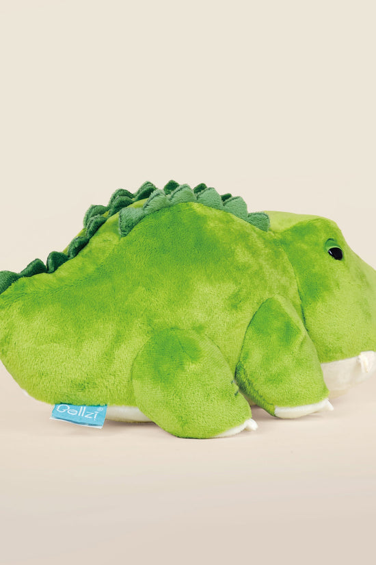 Alli the Alligator