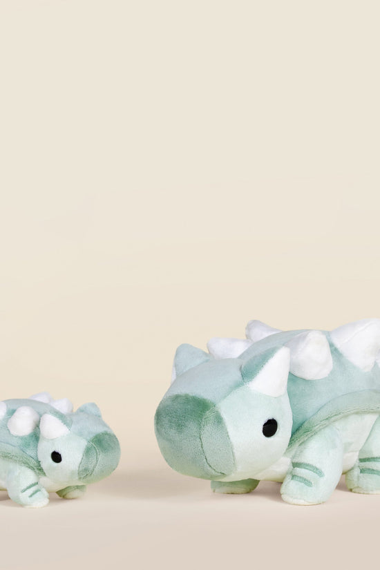Mini Ankli the Ankylosaurus