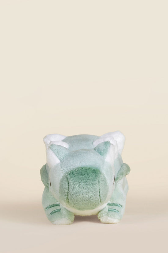 Mini Ankli the Ankylosaurus