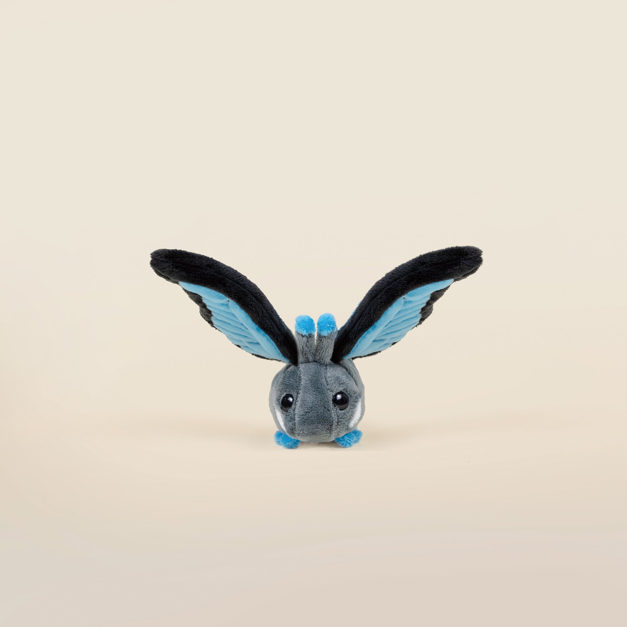 Mini Morpho Butti the Butterfly