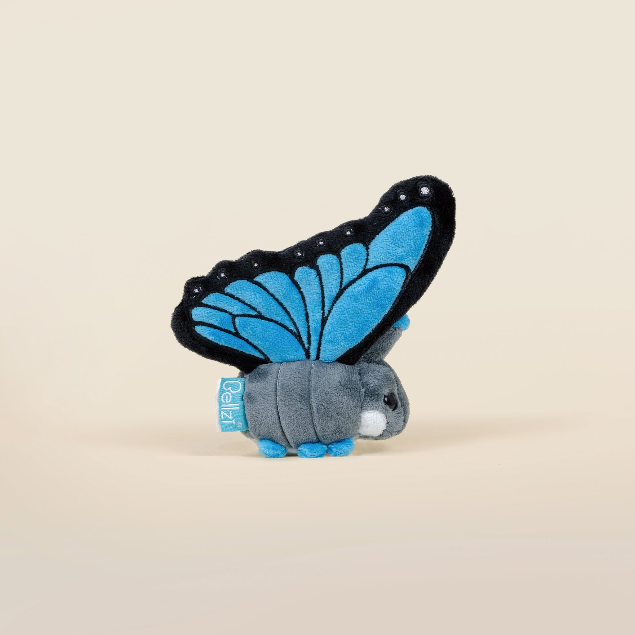 Mini Morpho Butti the Butterfly