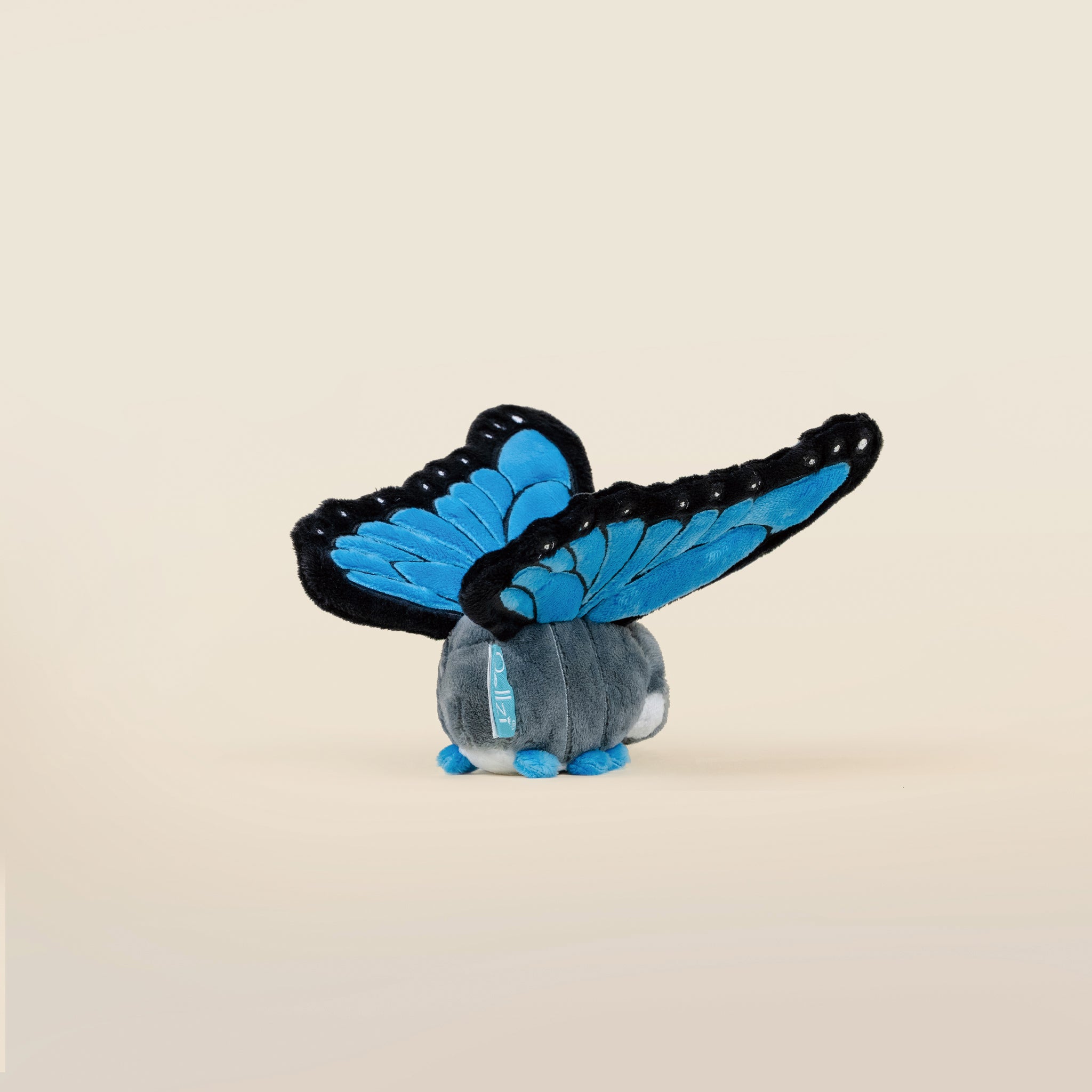 Mini Morpho Butti the Butterfly