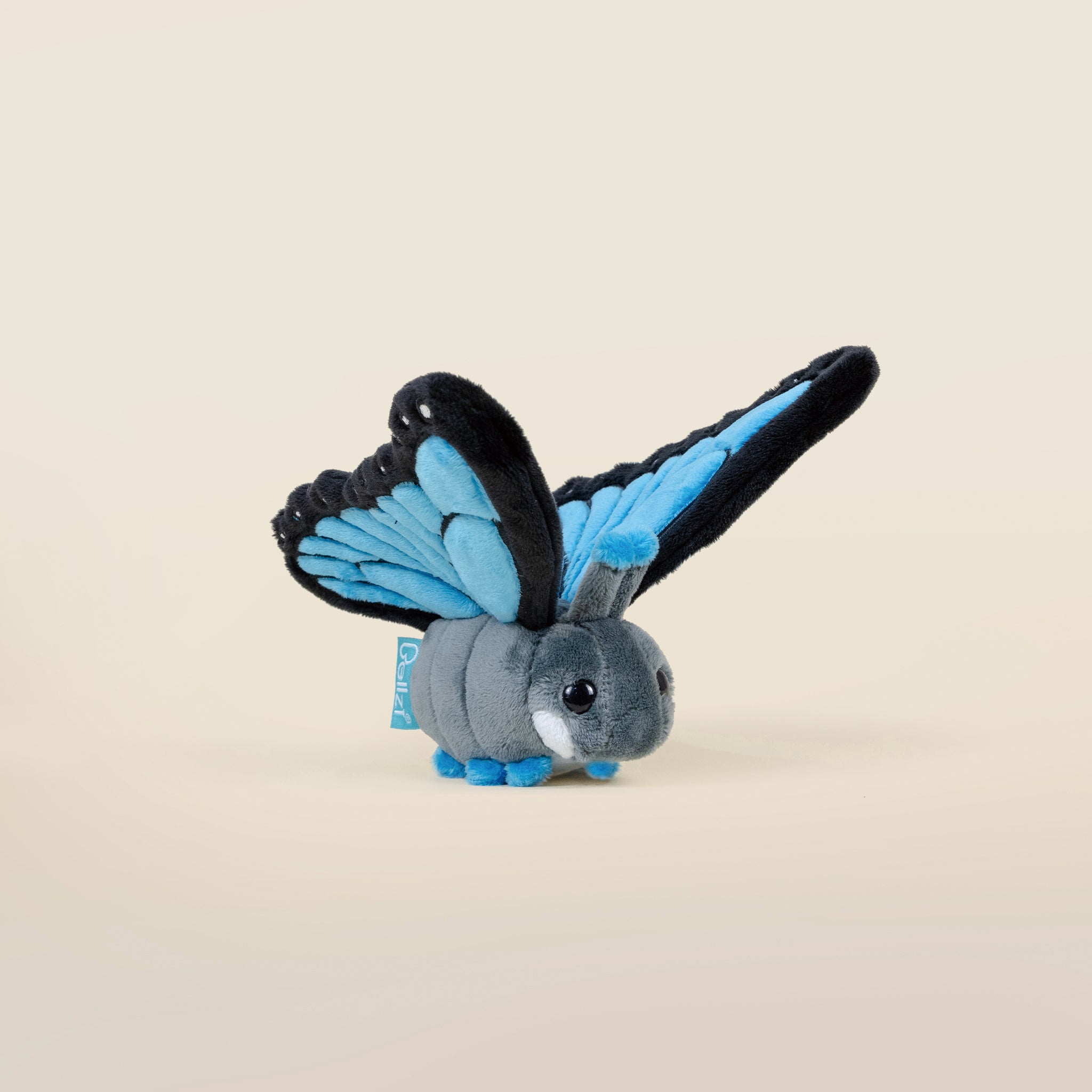 Mini Morpho Butti the Butterfly