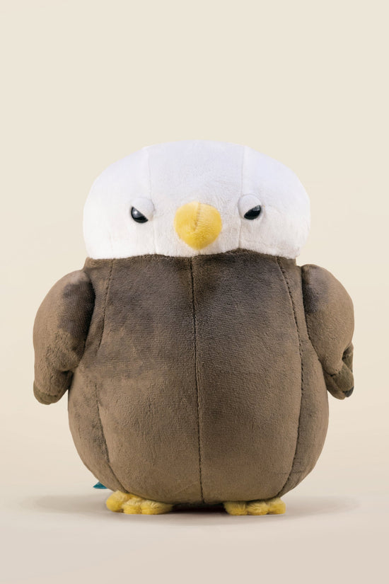 Baldi the Bald Eagle