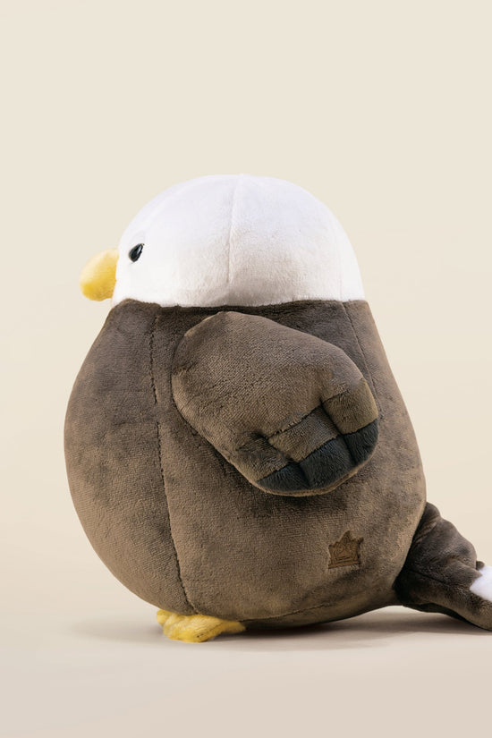 Baldi the Bald Eagle