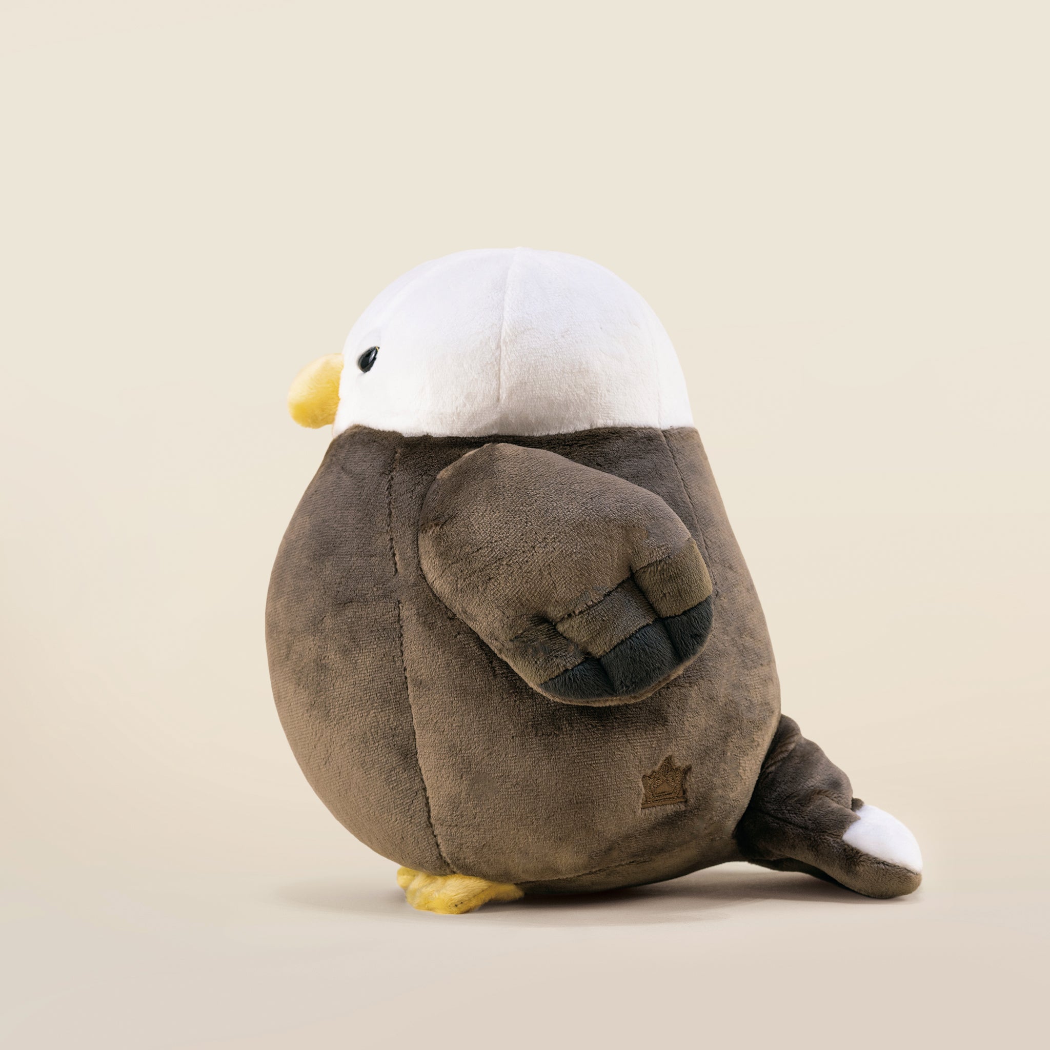 Baldi the Bald Eagle