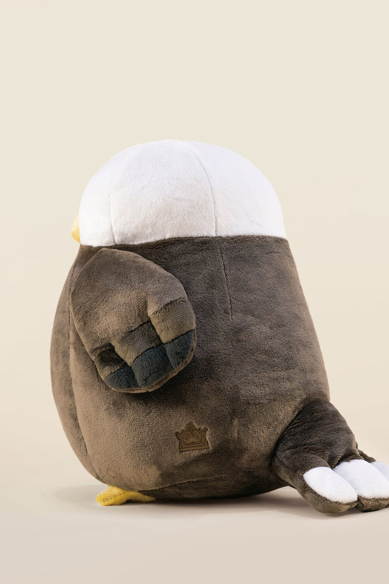 Baldi the Bald Eagle
