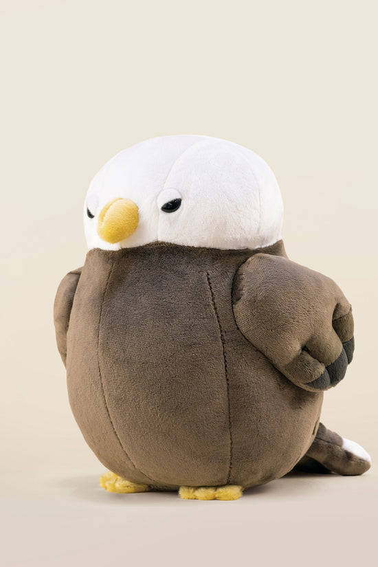 Baldi the Bald Eagle