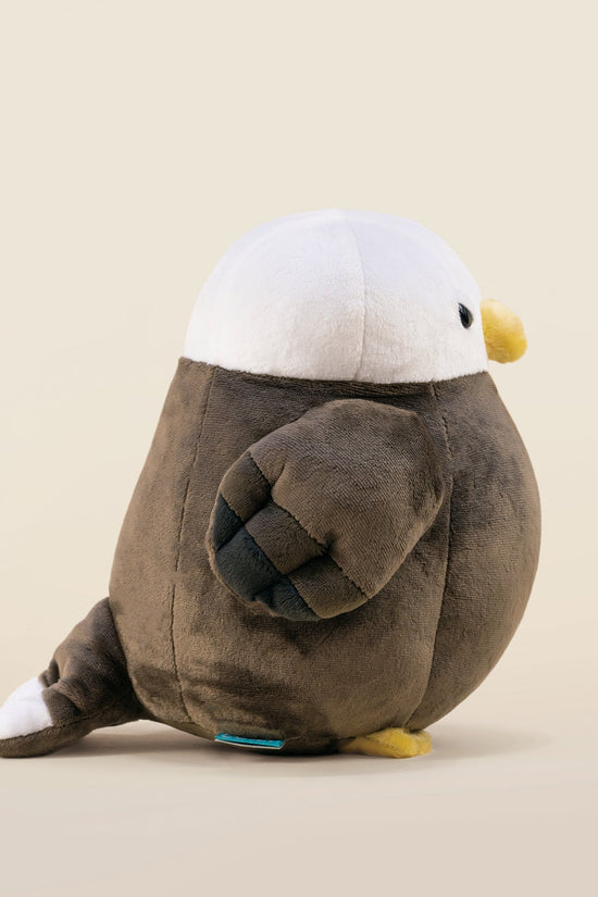 Baldi the Bald Eagle