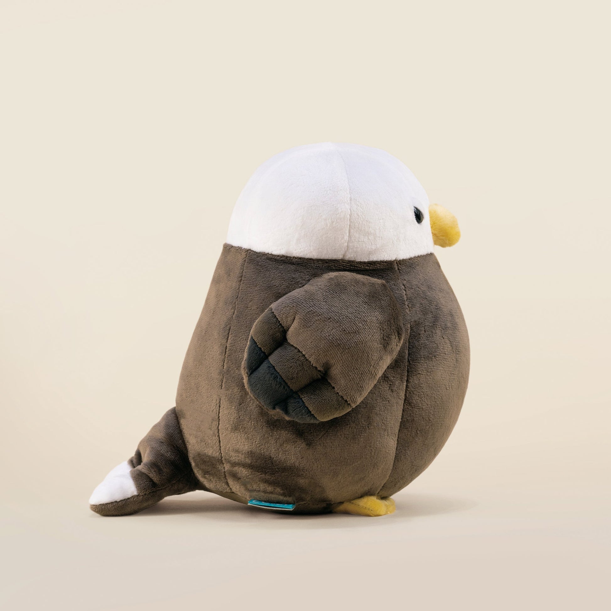 Baldi the Bald Eagle