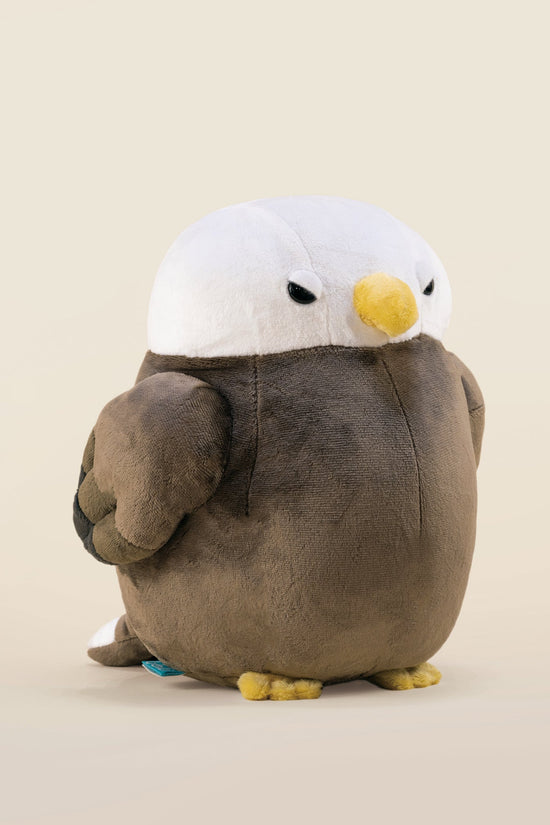 Baldi the Bald Eagle