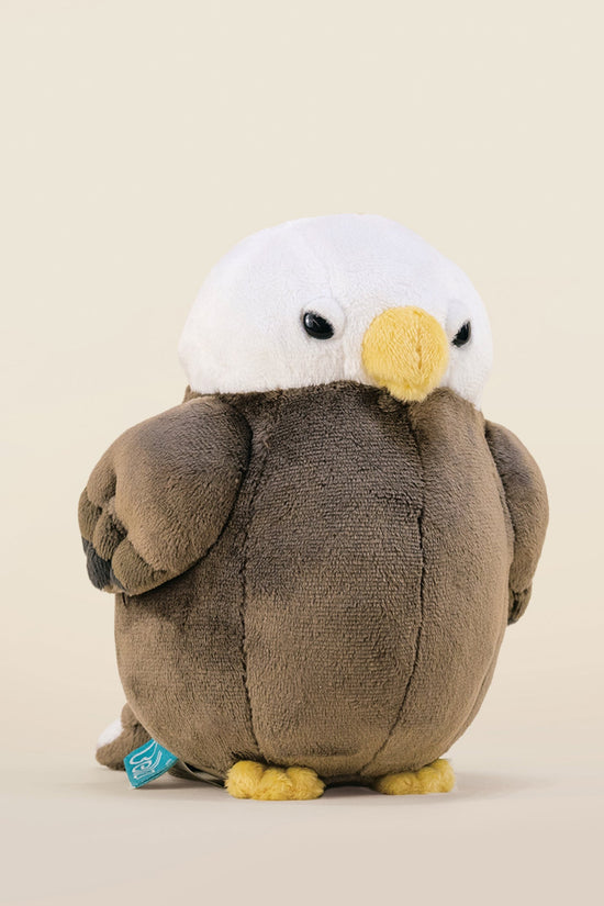 Mini Baldi the Bald Eagle