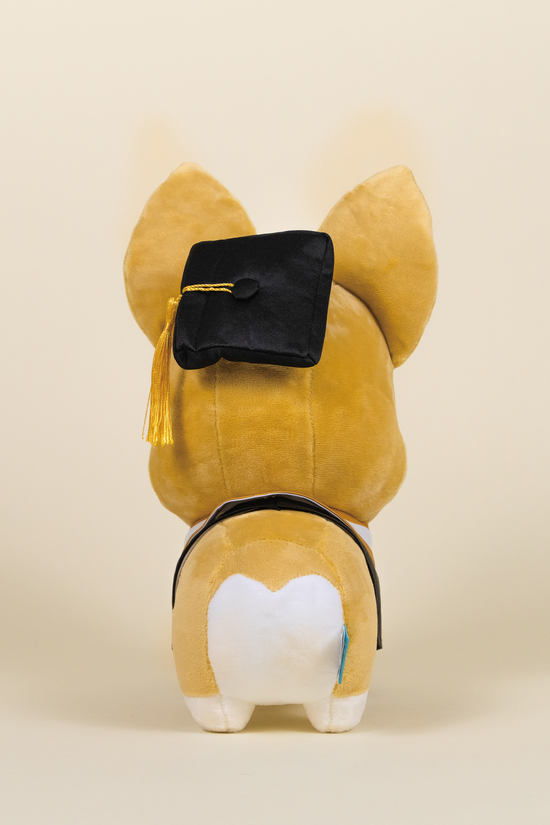 Graduation Corgi