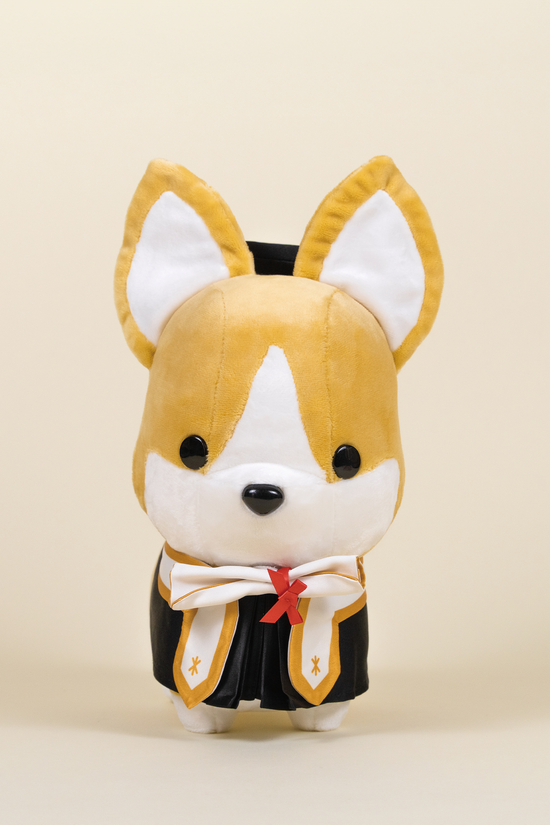 Graduation Corgi