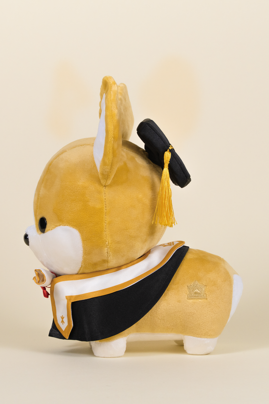 Graduation Corgi