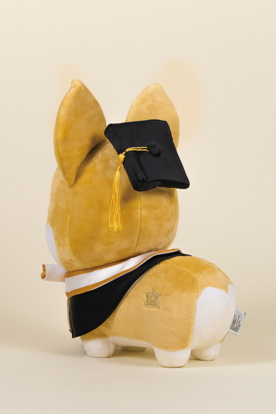 Graduation Corgi
