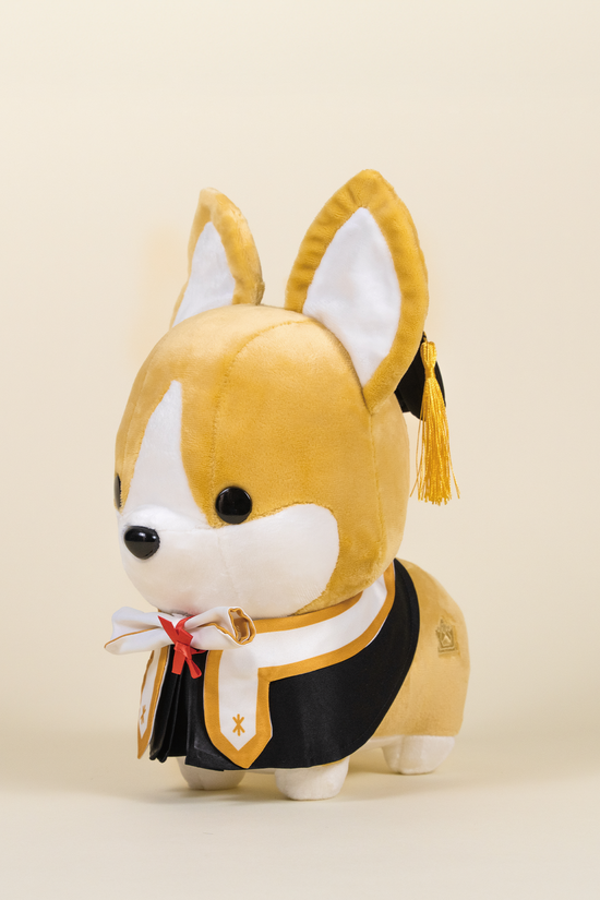 Graduation Corgi