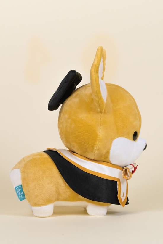 Graduation Corgi