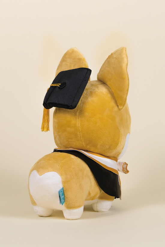 Graduation Corgi