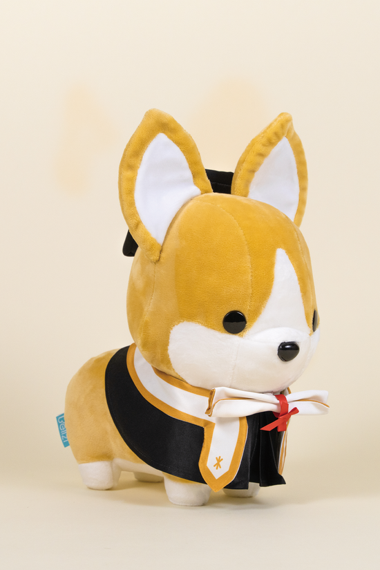 Graduation Corgi