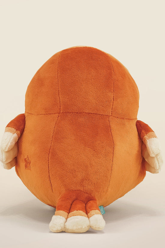 Canari the Canary