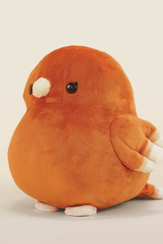 Canari the Canary