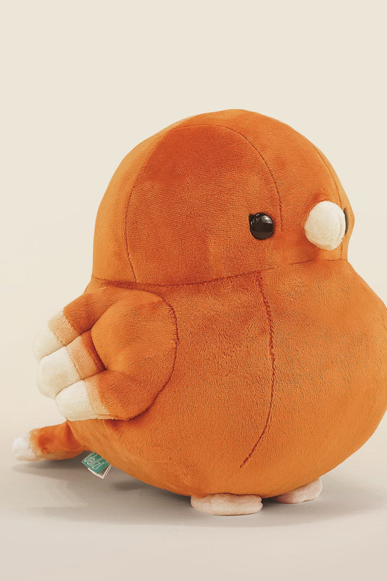 Canari the Canary