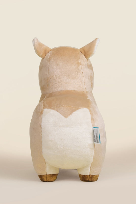 Cappi the Capybara