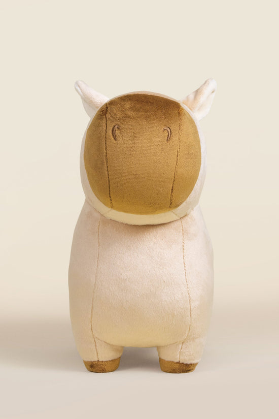 Cappi the Capybara