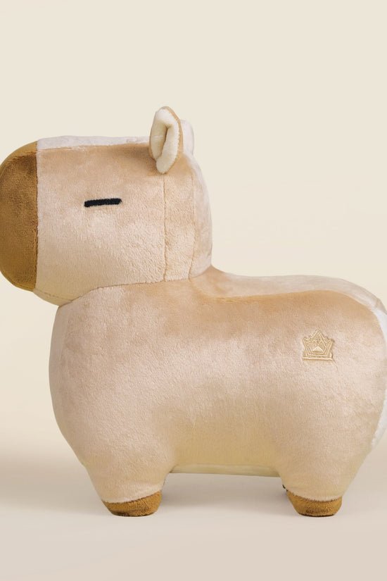 Cappi the Capybara