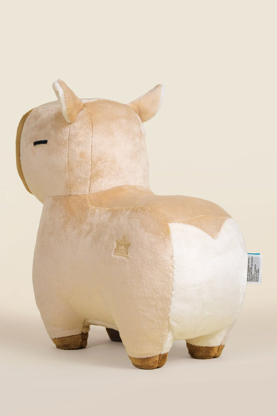 Cappi the Capybara