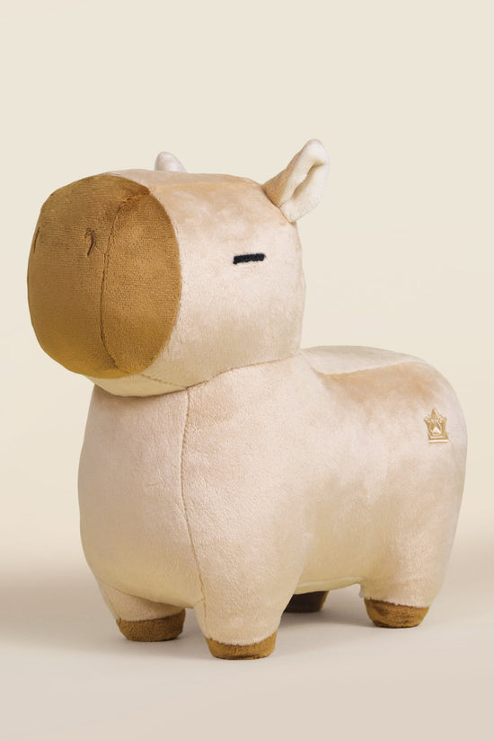 Cappi the Capybara