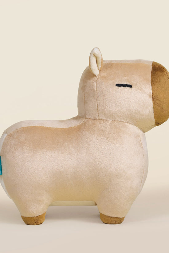 Cappi the Capybara
